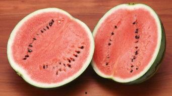 娱乐吃瓜酱属于什么领域  第2张