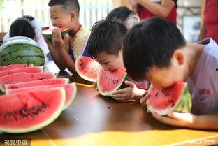趣味吃瓜大比拼,一场舌尖上的狂欢盛宴  第1张