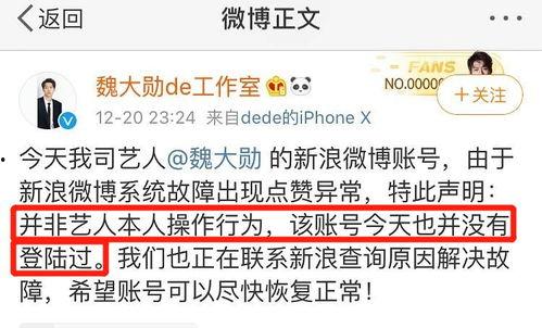 微信公众号娱乐明星吃瓜,明星们的“吃瓜”日常  第1张