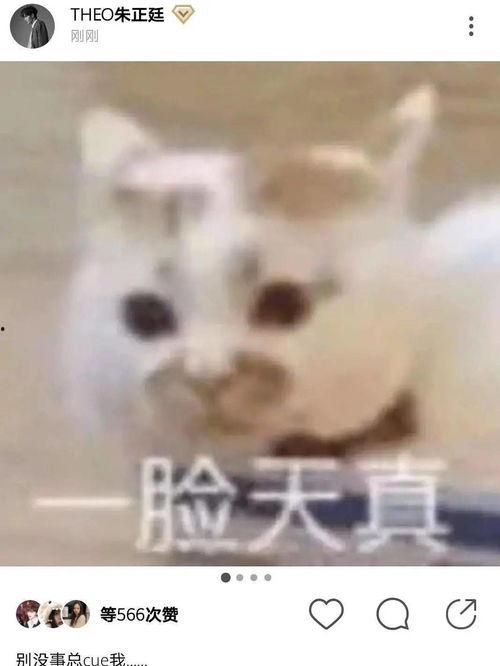 女朋友发吃瓜怎么回复  第2张