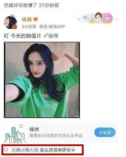吃瓜的娱乐小能手,吃瓜达人揭秘娱乐圈幕后故事  第3张